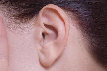 耳のイメージ写真
